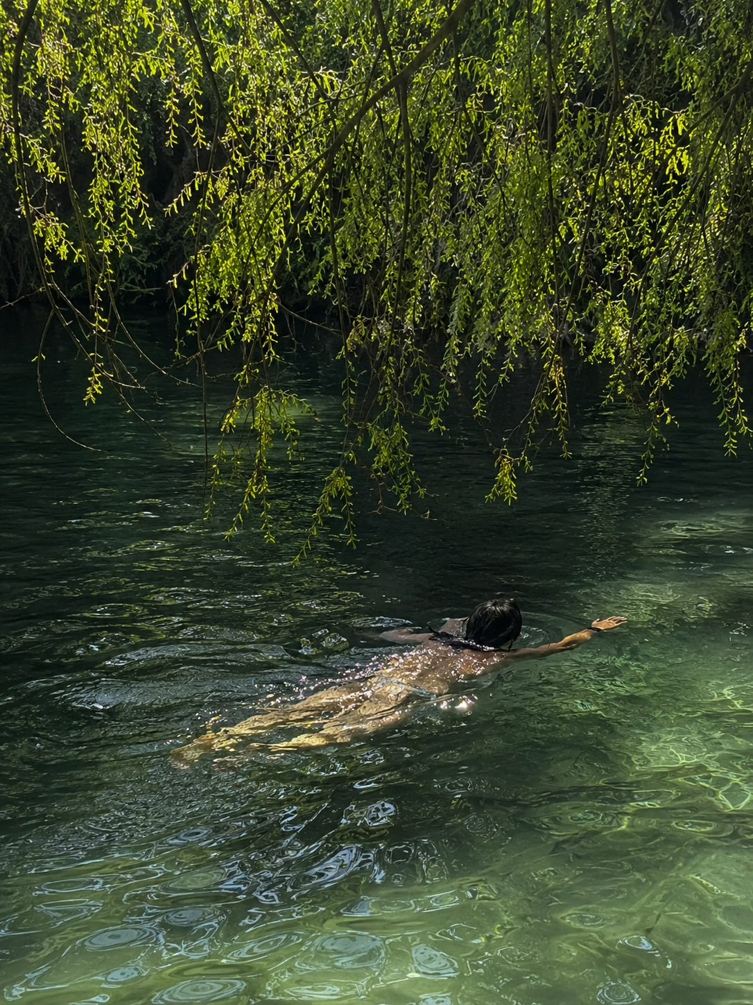 Nadando en el lago, obra original de Juanjo Sáez – detalle ampliado