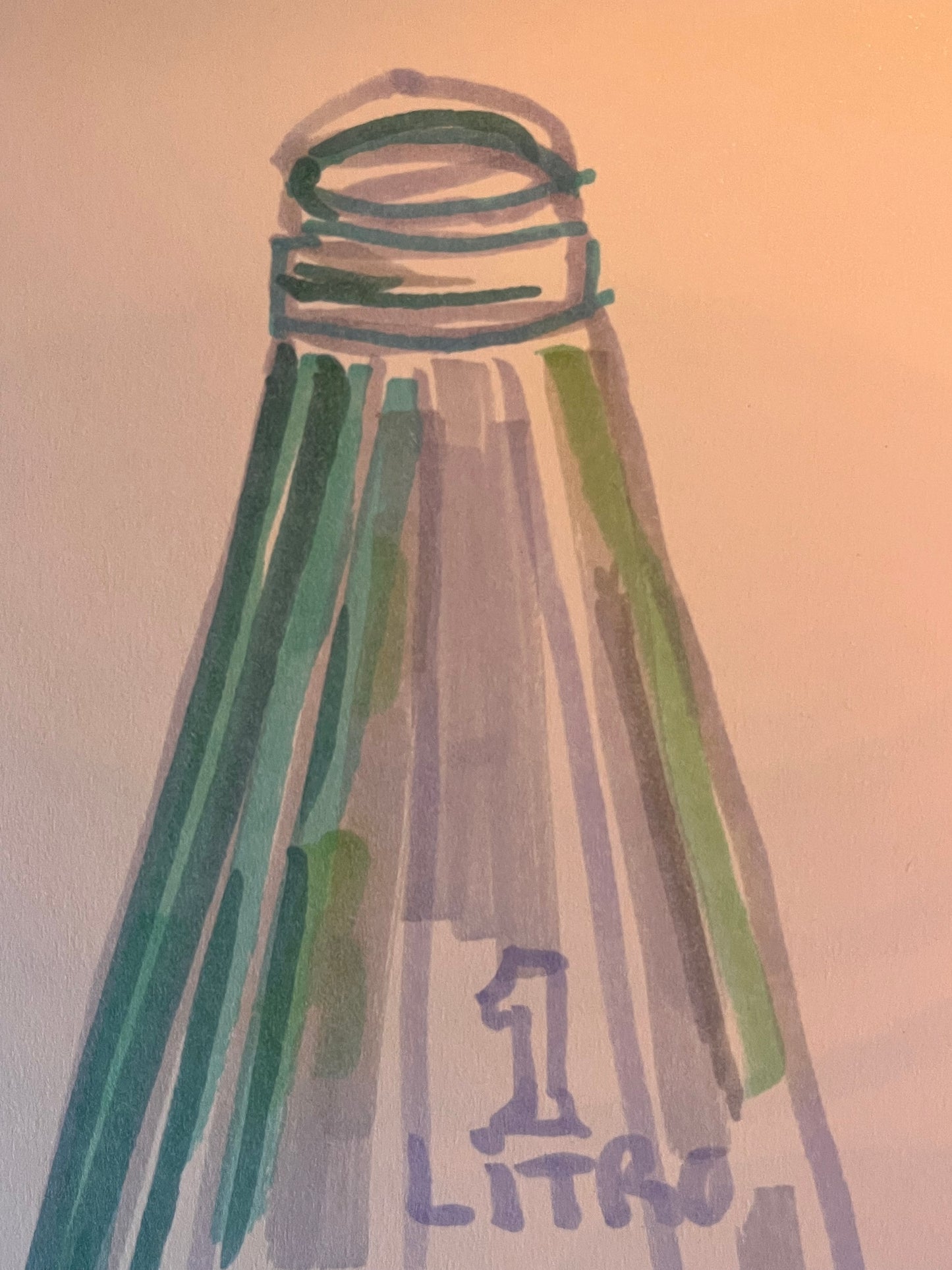 Botella de Coca-Cola · Rotuladores en Moleskine · Juanjo Sáez